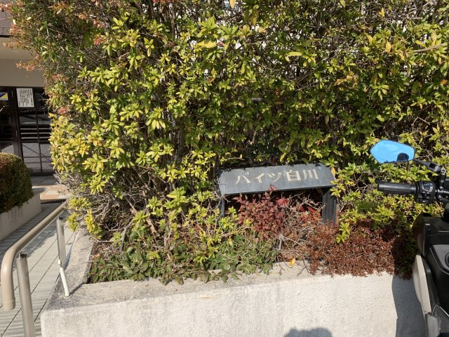 ハイツ白川のその他
