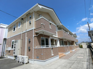 ポライトリー・ケイの画像