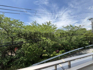 【展望】 | 神戸市垂水区南多聞台5丁目　新築戸建A号棟　仲介手数料無料！ | 眺望です。