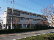 グランテージの画像