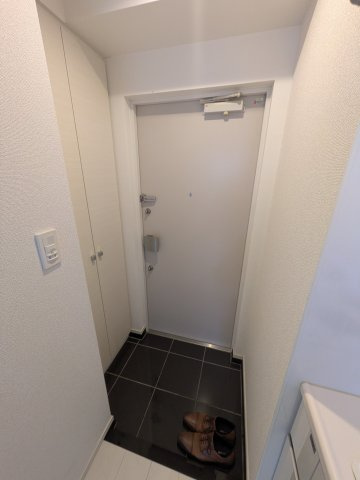 レグゼ鷺沼の玄関