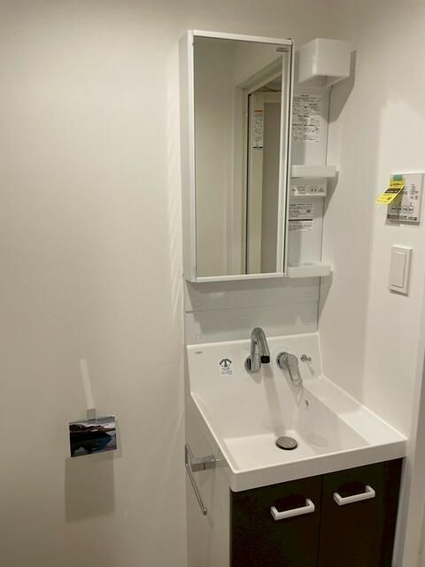 カーサブリランテ本駒込の洗面所