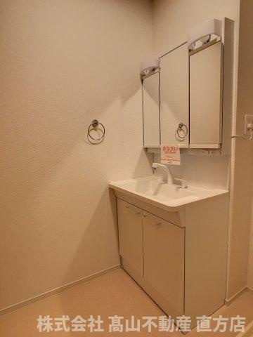 ニューメゾン感田Ａの洗面所