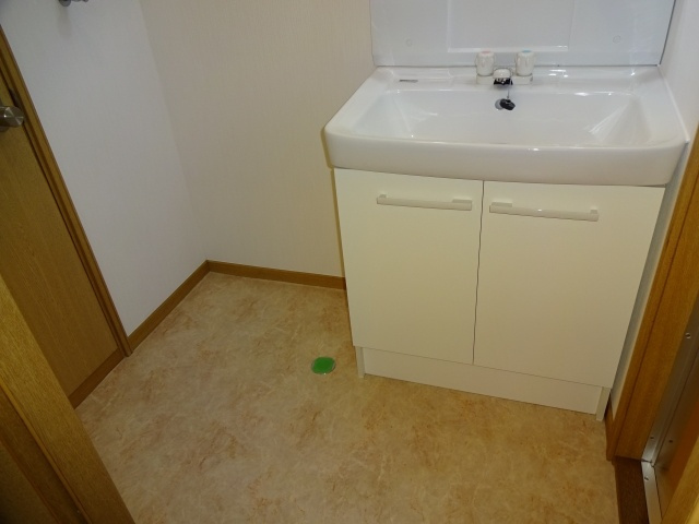 サンモール井上の洗面所