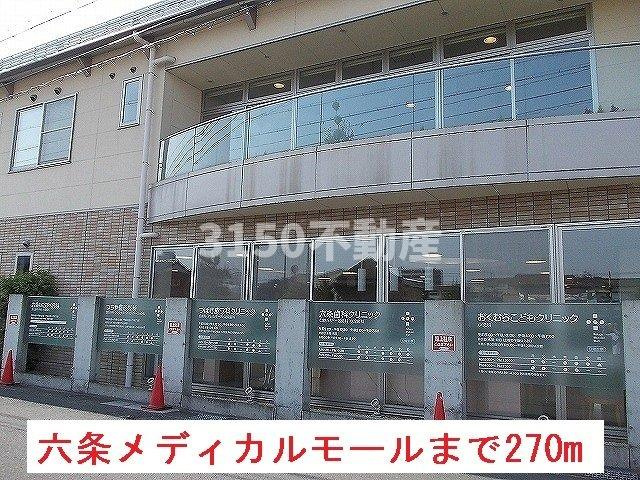 エスポワール六条北の周辺|六条メディカルモールまで270m
