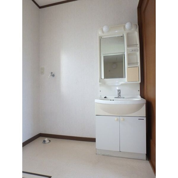 コーポラスアイレの洗面所