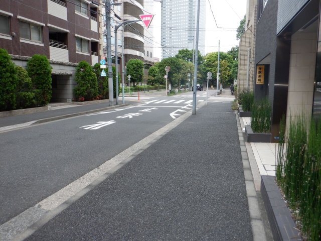 ウィルローズ月島のその他|前面道路