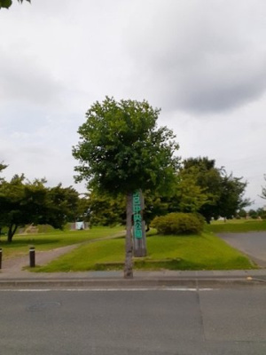 【周辺】 | ファースト　ステージ | 茂呂中央公園まで210m