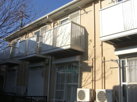 シャルムトキタの画像