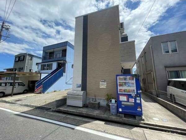 Globe amaranth庄内通