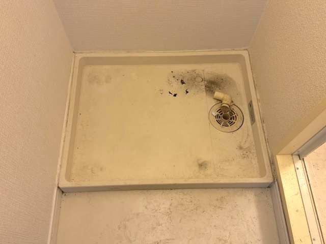 しらさぎのその他