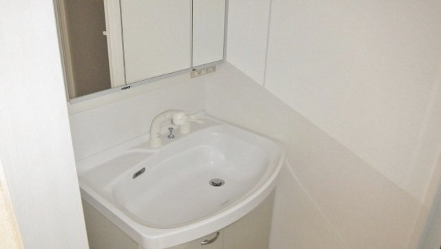 ラ・パラドール中山の洗面所|シャンプードレッサー付