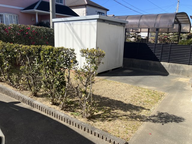 中古戸建　豊橋市佐藤三丁目33-16，33-17の庭|庭