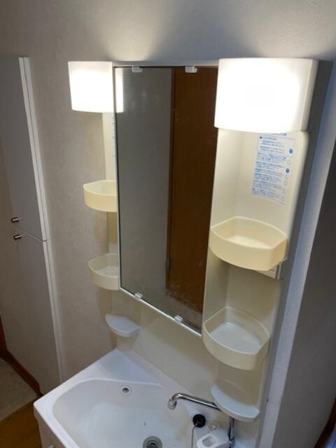 パインヒル6の洗面所