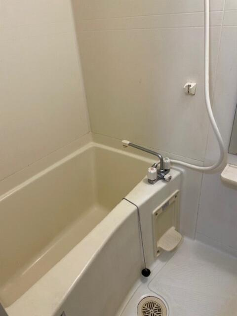 パインヒル6の浴室