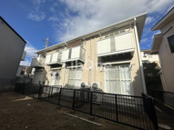 シャルムトキタの画像