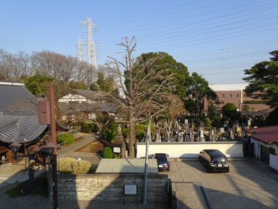 【展望】 | RICORDO和泉