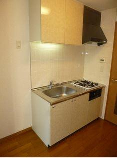 ルート四谷三丁目のキッチン|同タイプ参考写真