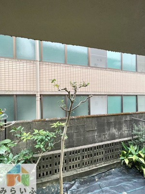 【展望】 | 北條荘