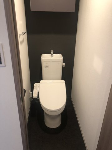 S-RESIDENCE両国avenueのトイレ