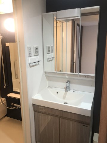 S-RESIDENCE両国avenueの独立洗面台