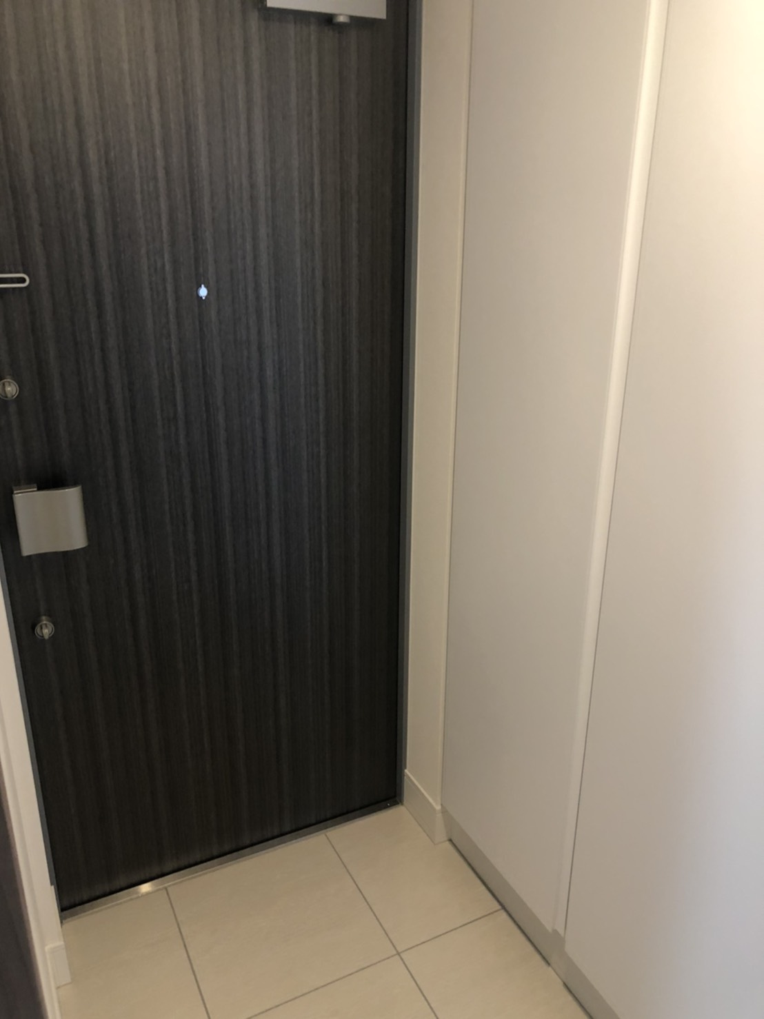 S-RESIDENCE両国avenueの玄関