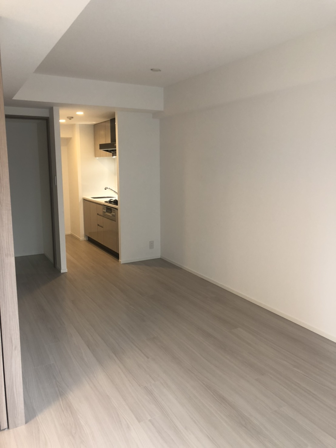 S-RESIDENCE両国avenueの居間・リビング