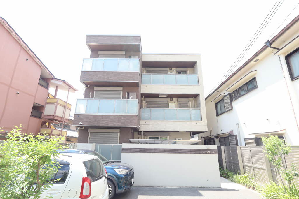 ＳｈａＭａｉｓｏｎ　Ｋ．Ｈａｒｕｋａ