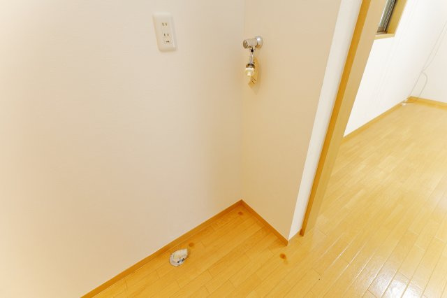 ベルバウスのその他