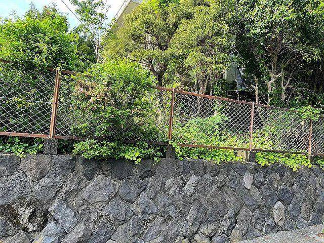 国道までアクセス良好な川奈の土地物件の外観|道路より一段高く明るい印象