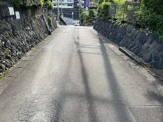 国道までアクセス良好な川奈の土地物件の周辺|国道近くです