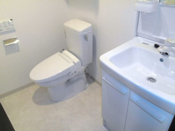 スカイコートパレス大島の洗面所