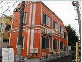 フェリスソラーナの画像