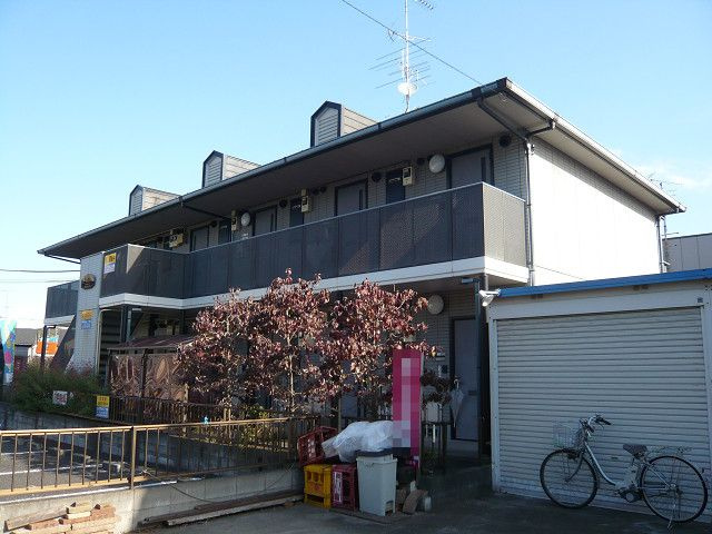 エーデルワイス