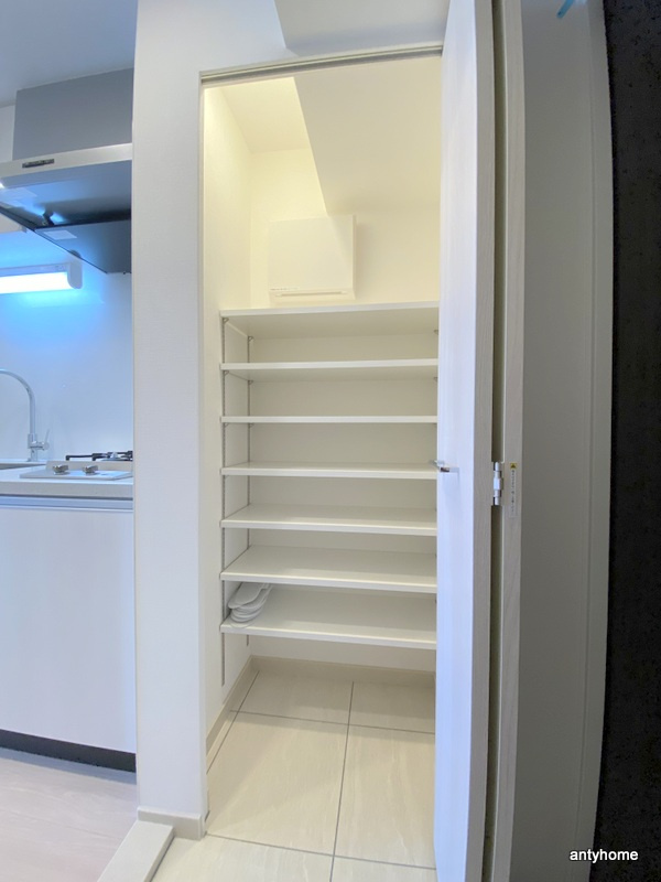 Quintet NAMBA(旧：レジュールアッシュNAMBA) 仲介手数料無料の収納