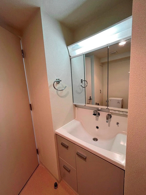 パークアクシス元浅草ステージの洗面所|※写真は同タイプ住戸です。