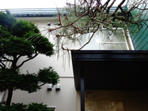 ピア松原の画像