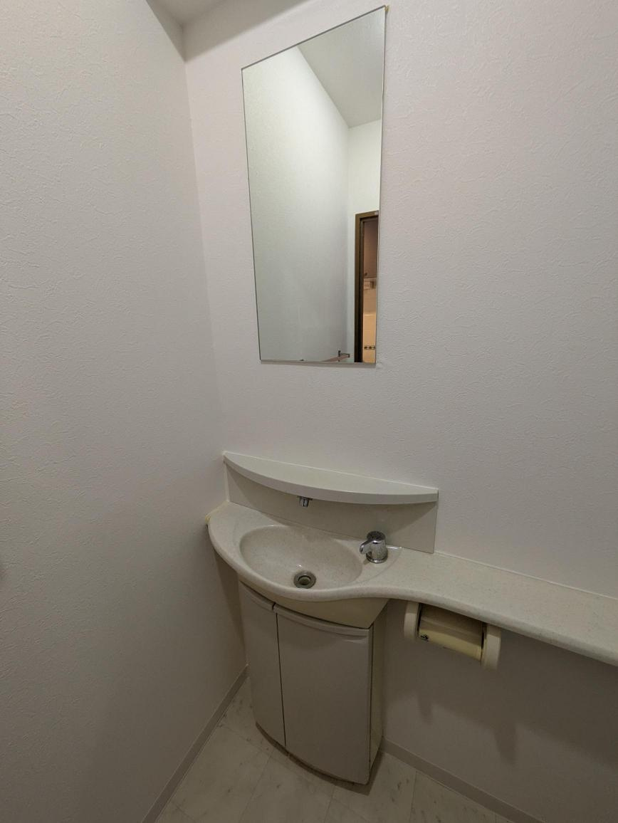 北府中明星パレスの洗面所