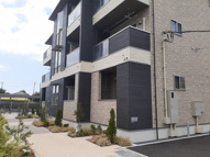 ＣＯＳＭＯ　ＬＩＧＨＴの画像