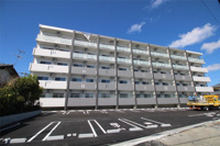 Diosa de sol（ディオサ デ ソル）の画像