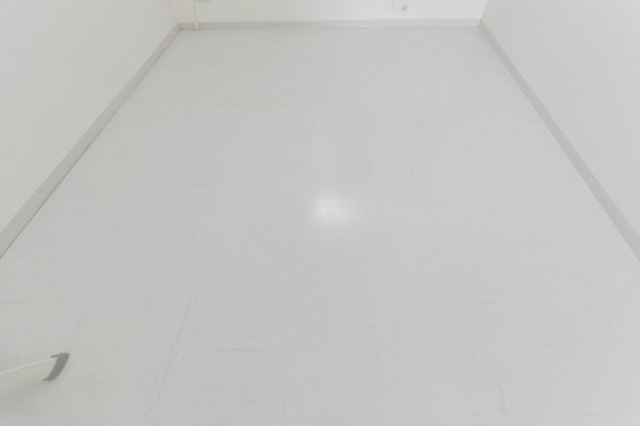 アプリコットのその他
