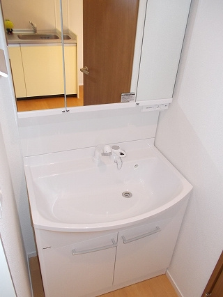 サンフォーレスト Ⅱの洗面所