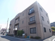 プリムローズの画像