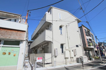 カメリアの画像