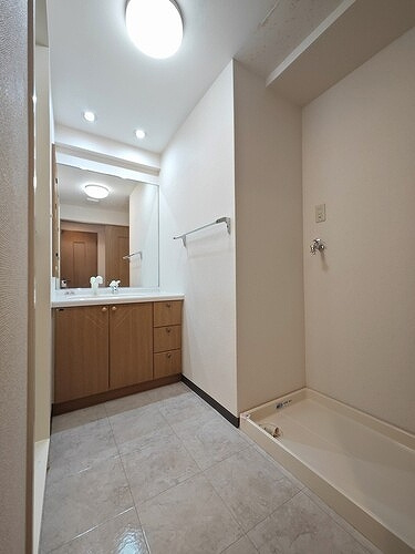 ライオンズシティ豊田の洗面所