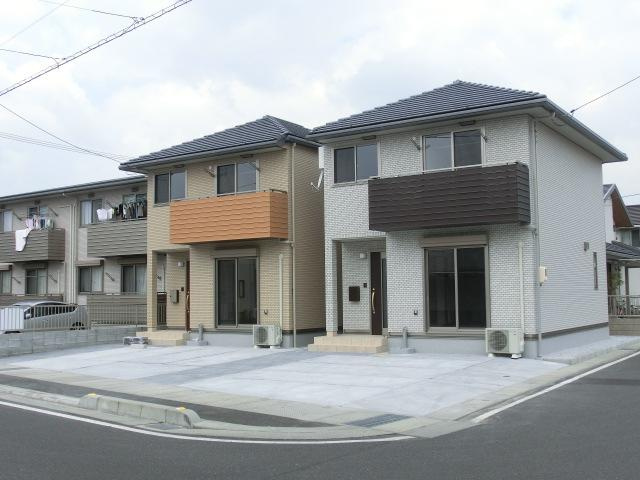 ニコフェリース