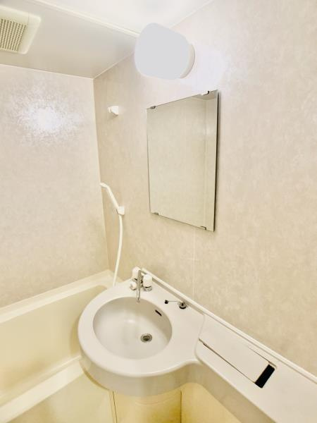 ベルレージュ亀戸の洗面所