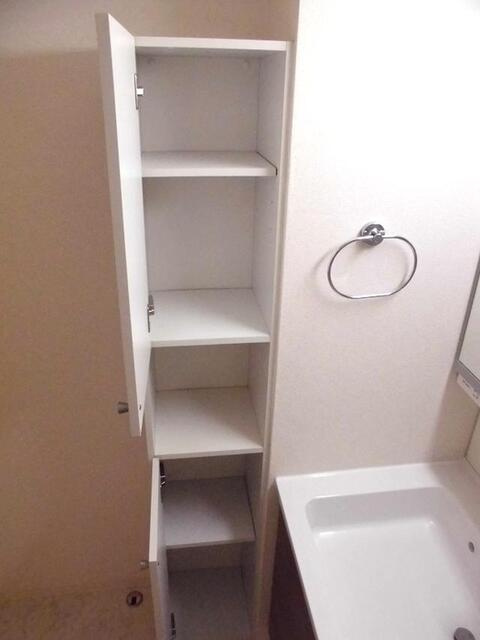 メゾンドゥベルデュールの洗面所