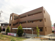 シアンメリーの画像