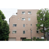 ルピナス　ヤマジの画像